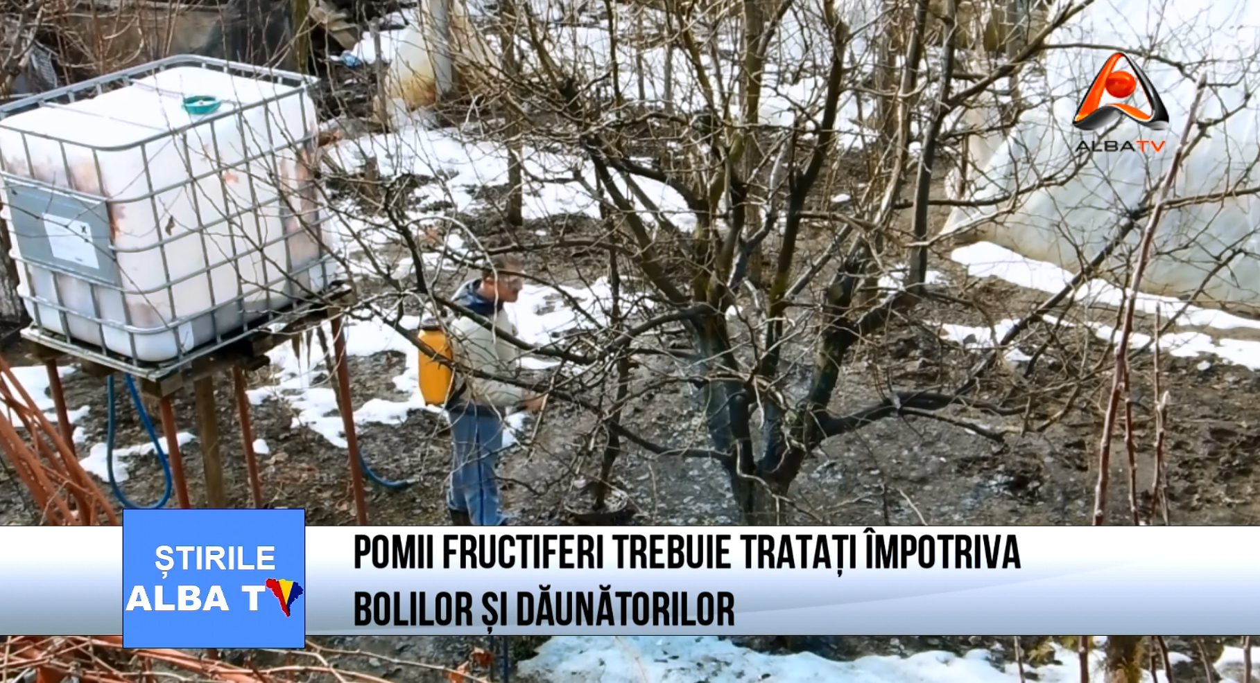 pomii-fructiferi-trebuie-tratati-inpotriva-bolilor-si-daunatorilor