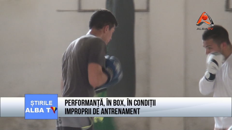 Performanta, in box, in conditii improprii de antrenament