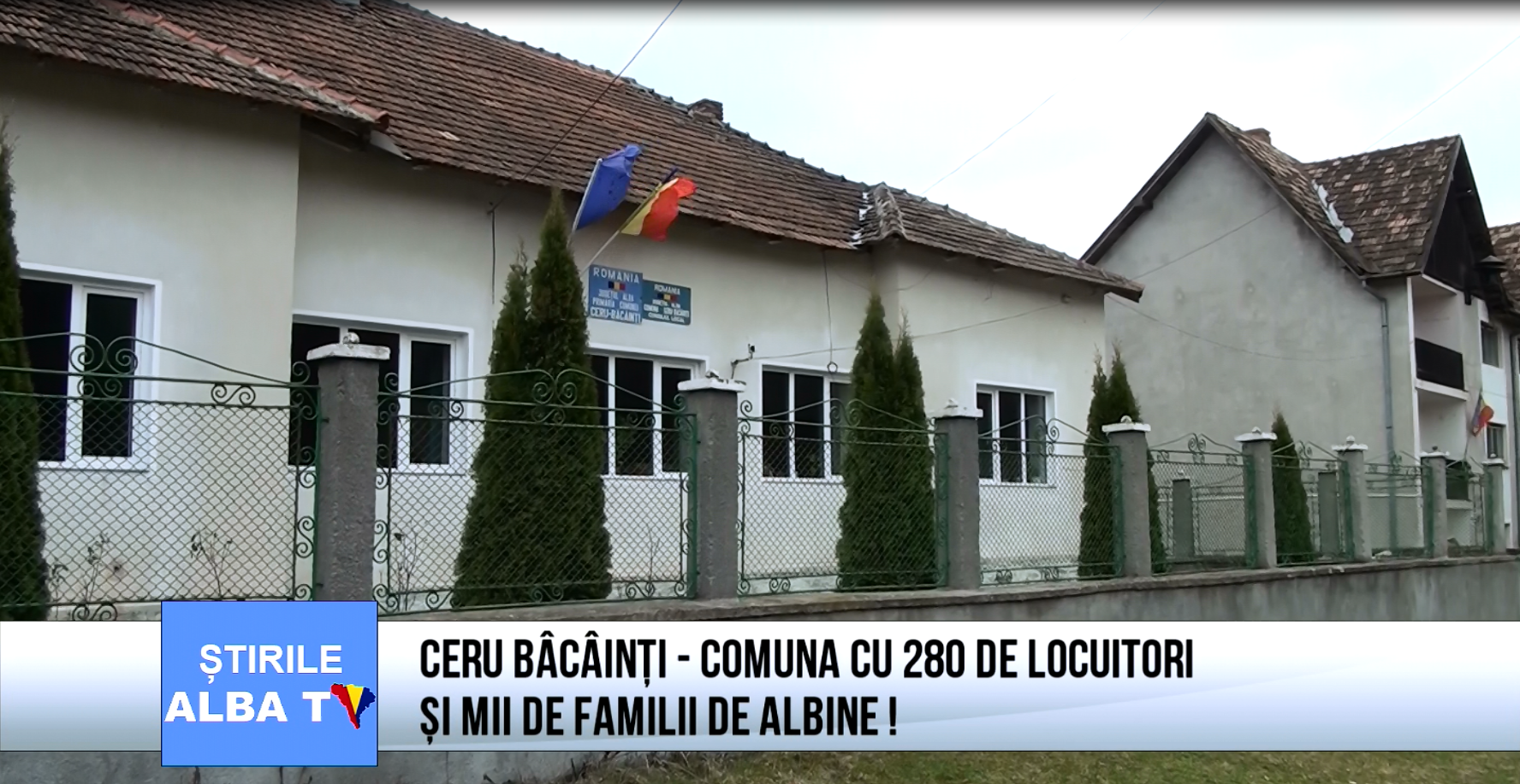 ceru-bacainti-comuna-cu-280-de-locuitori-si-mii-de-familii-de-albine
