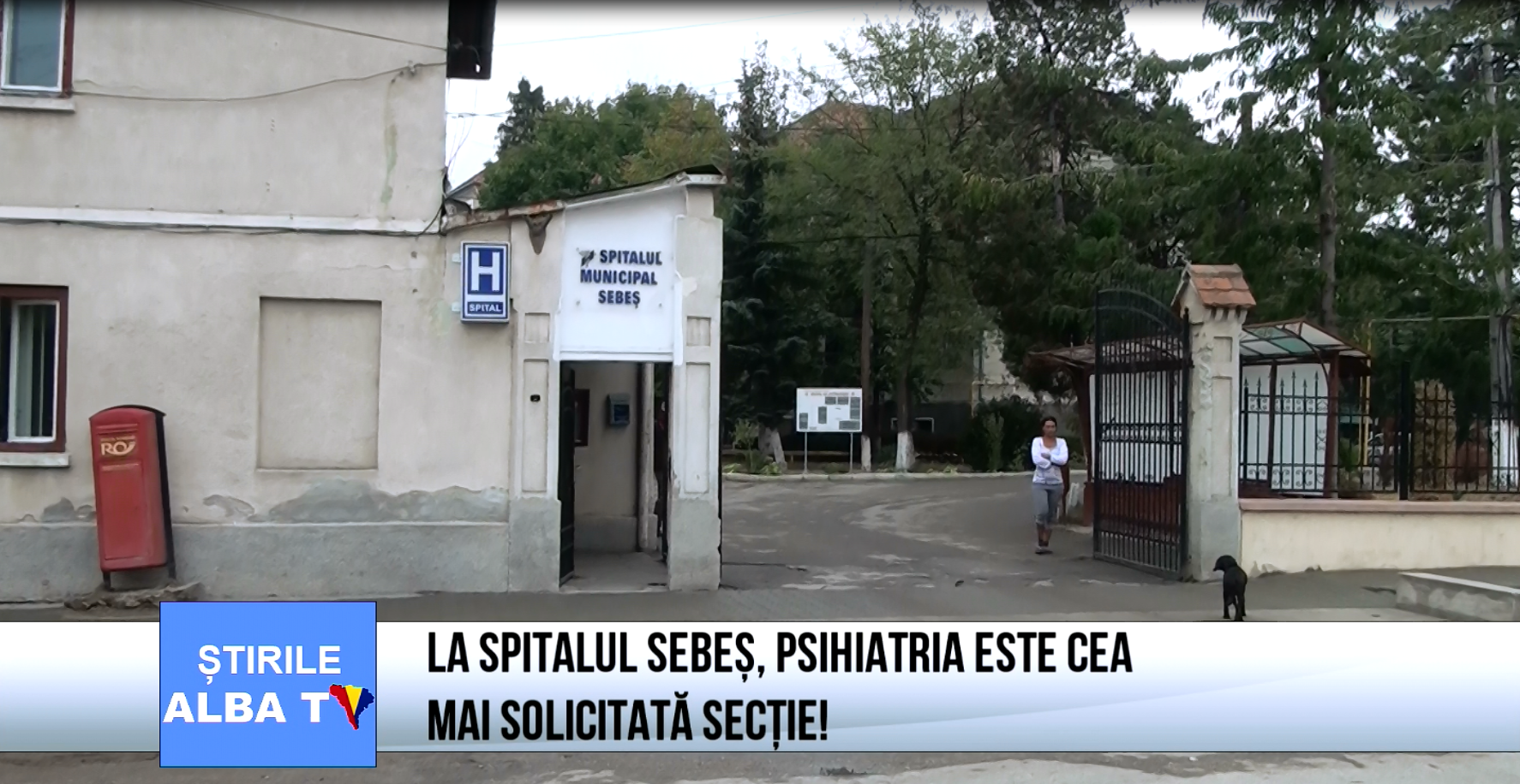 la-spitalul-sebes-psihiatria-este-cea-mai-solicitata-sectie