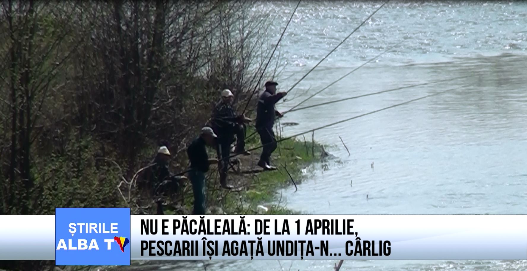 nu e pacaleala