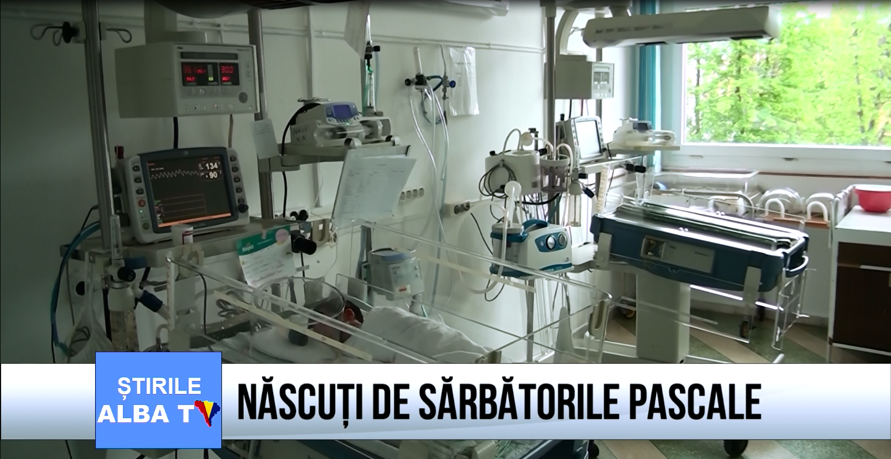 NASCUTI-DE-SARBATORILE-PASCALE