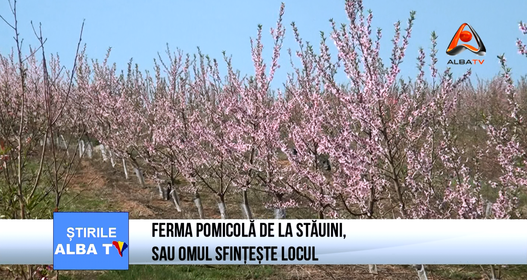 ferma-pomicola-de-la-stauini-sau-omul-sfinteste-locul