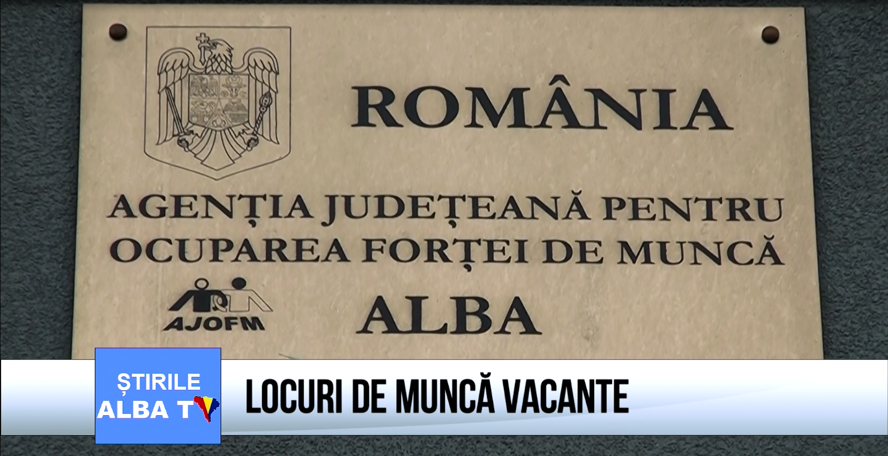 locuri-de-munca-vacante