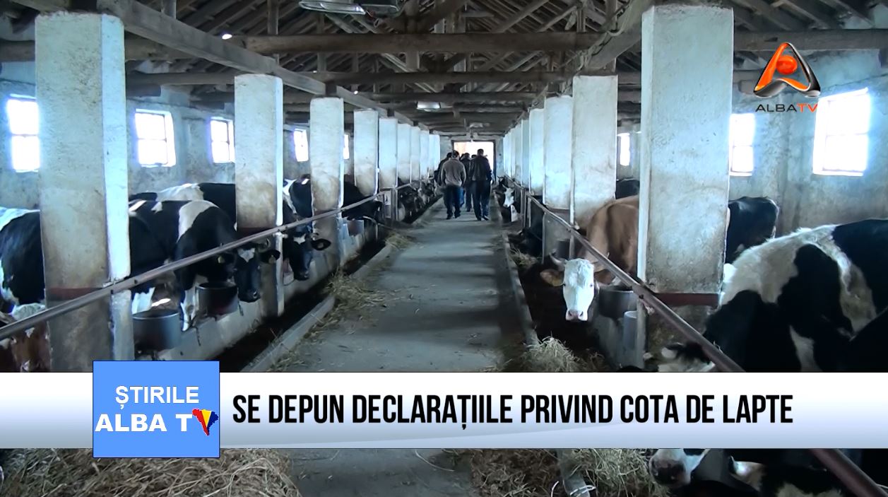 se-depun-declaratiile-privind-cota-de-lapte