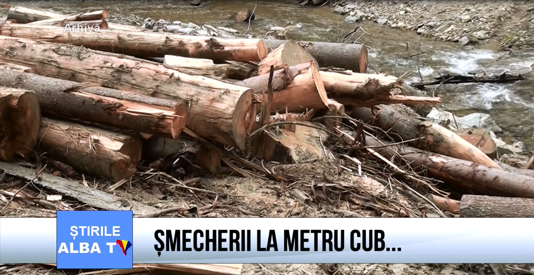 Smecherii-la-metru-cub