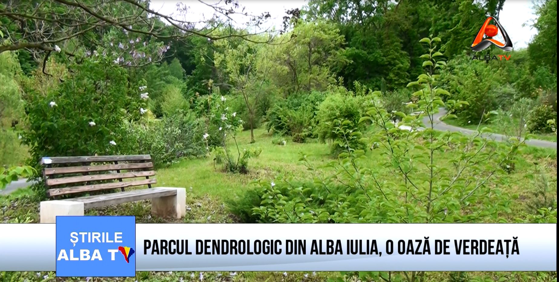 parcul-dentrologic-din-alba-iulia-o-oaza-de-verdeata
