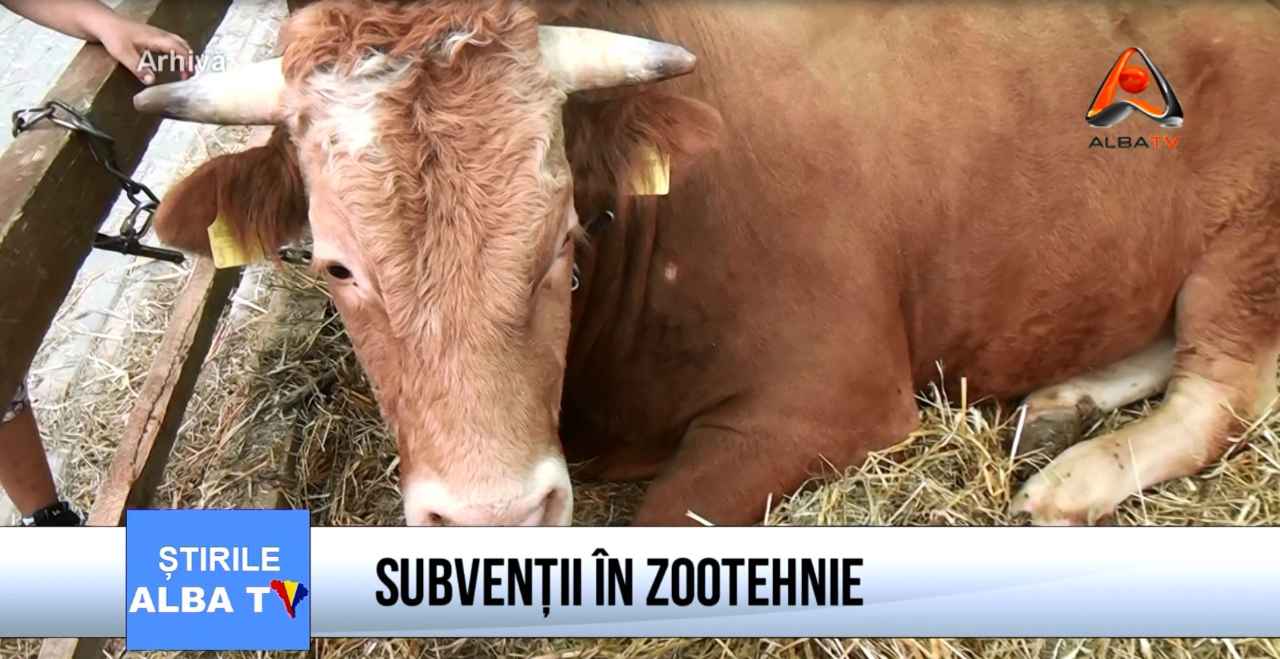 subventii-in-zootehnie