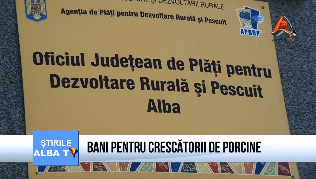 bani-pentru-crescatorii-de-porcine