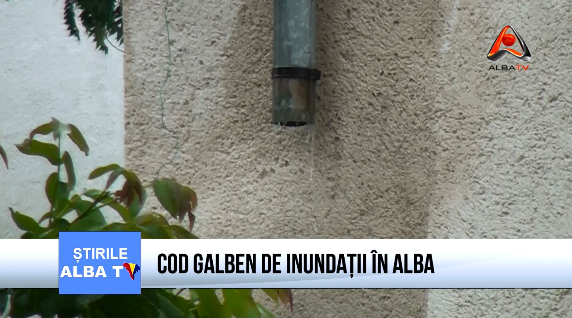 COD-GALBEN-DE-INUNDATII-IN-ALBA