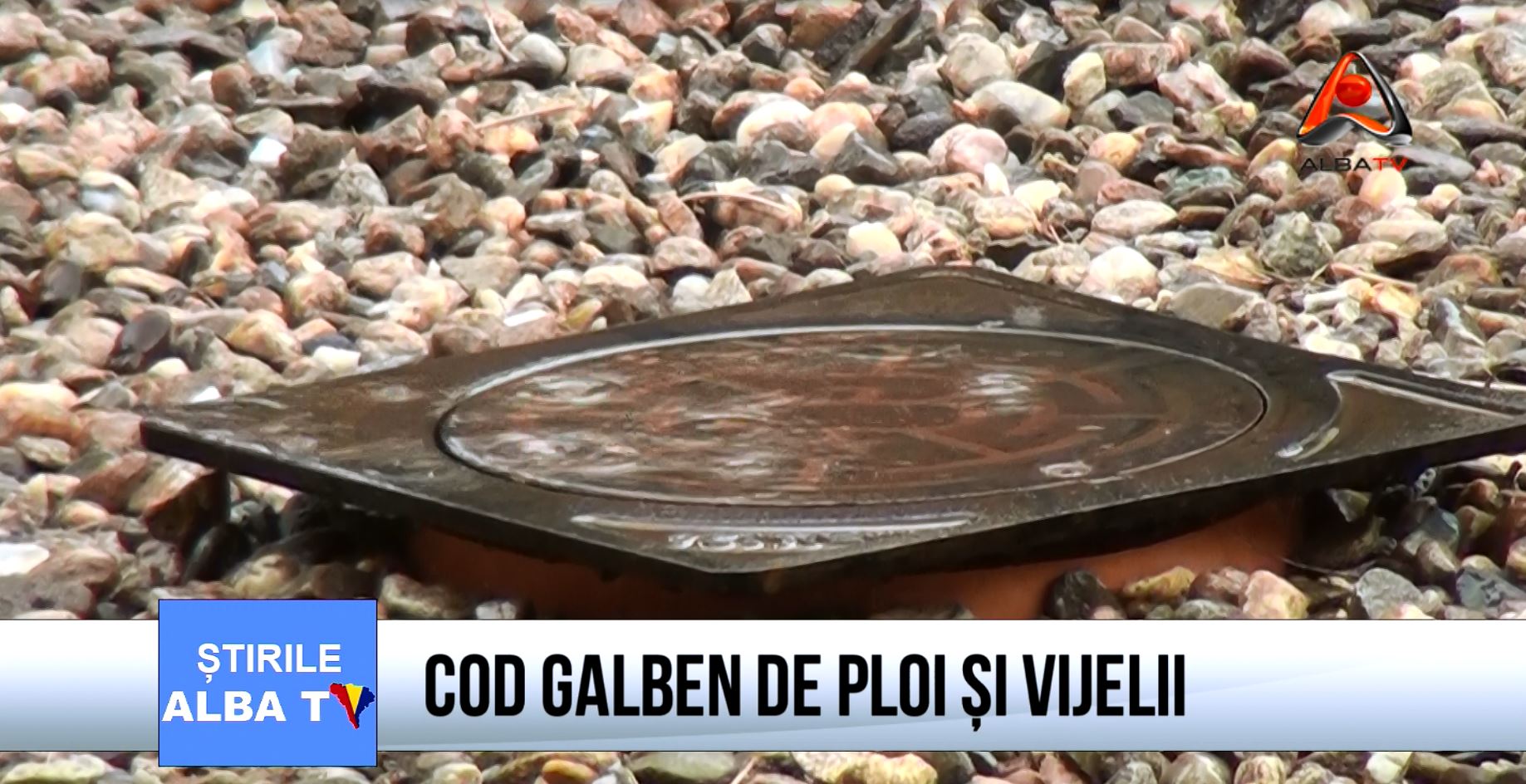 COD-GALBEN-DE-PLOI-SI-VIJELII