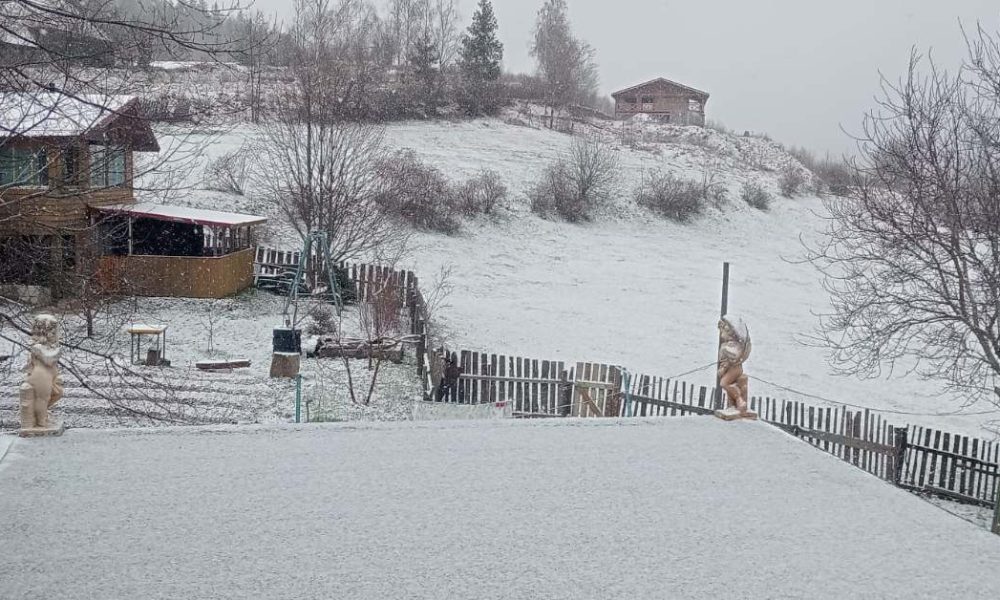 apuseni zapada mieilor