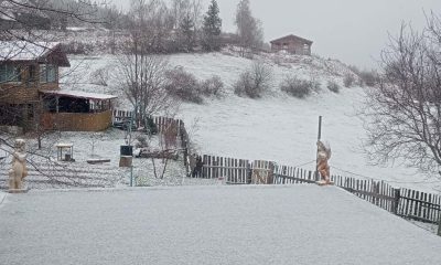 apuseni zapada mieilor