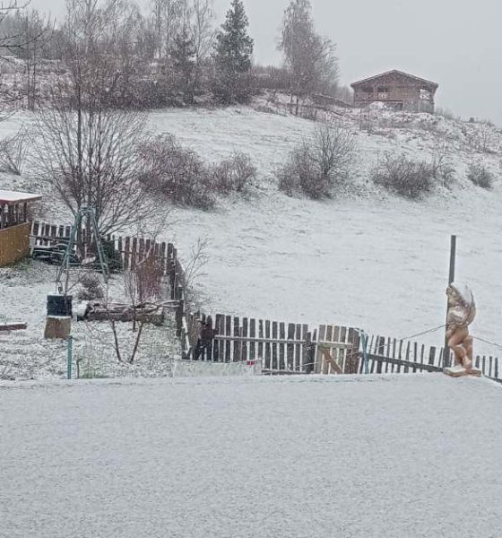 apuseni zapada mieilor