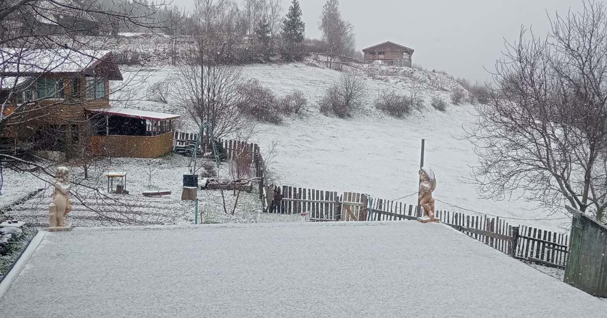 apuseni zapada mieilor